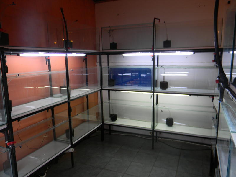 DSCN4184.jpg
