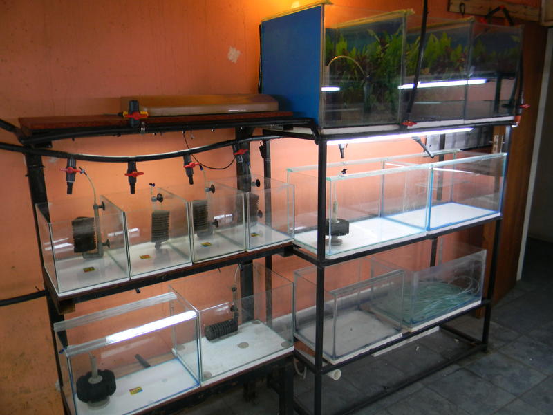 DSCN4185.jpg