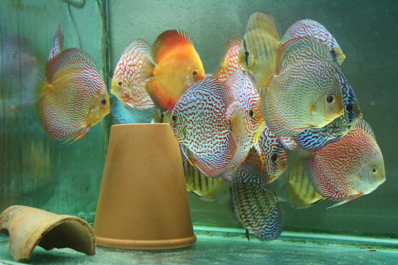Group 9513.jpg