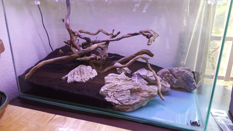 Hardscape with light on.jpg