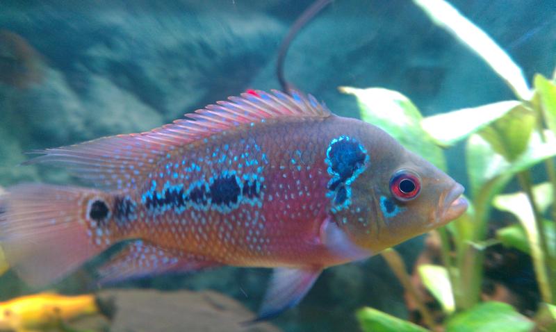 IMAG0098.jpg