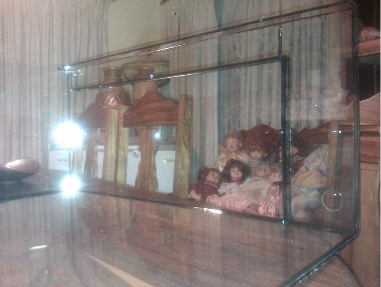 IMAG1158.jpg