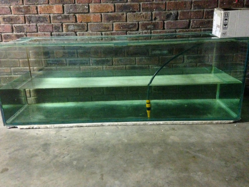 image-3372943519.jpg