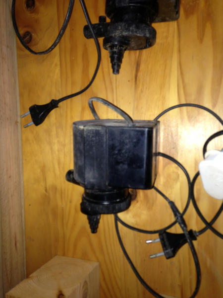 image-423433859.jpg