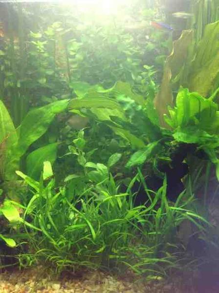 ImageUploadedByTapatalk HD1354559787.354353.jpg