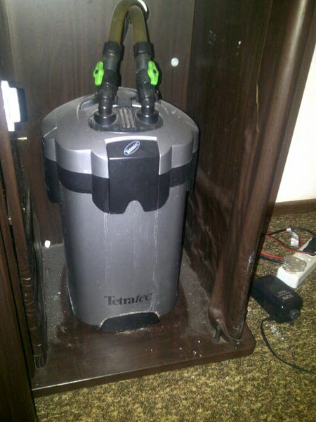 IMG-20120913-00354.jpg
