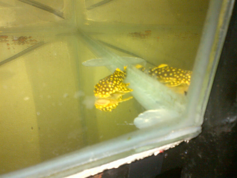 IMG-20130920-WA0004.jpg
