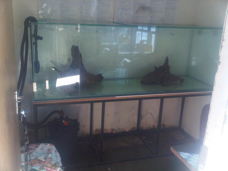 IMG-20130923-00069.jpg
