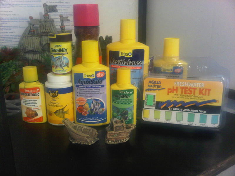 IMG-20130930-00098.jpg