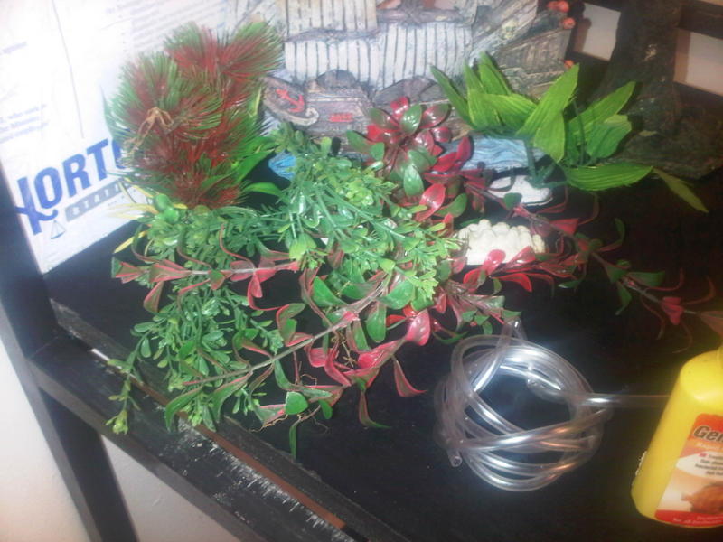 IMG-20130930-00099.jpg