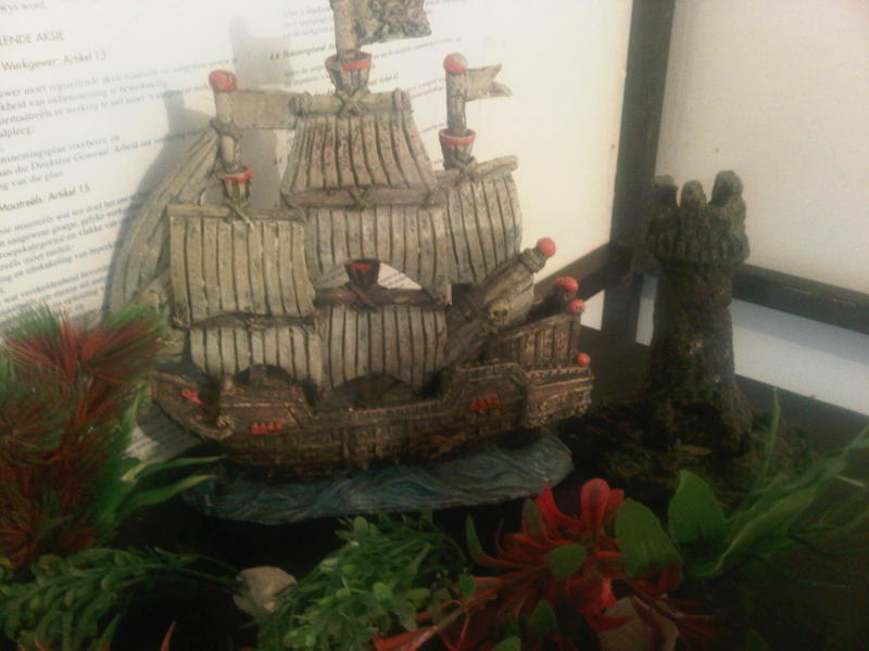 IMG-20130930-00100.jpg