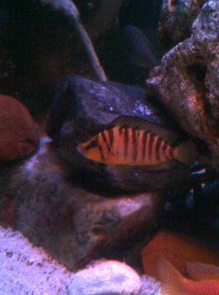 IMG-20131218-00592.jpg
