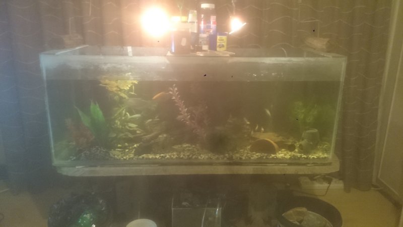 IMG-20161013-WA0011.jpeg