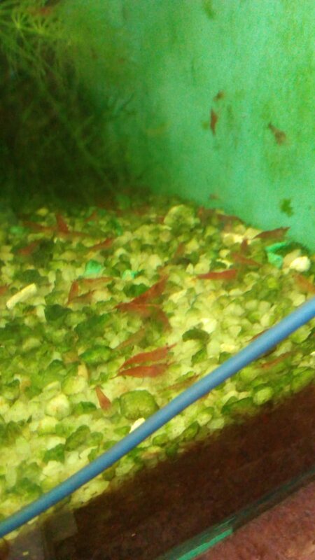 IMG-20211210-WA0026.jpg