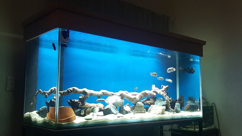 IMG-20220123-WA0061.jpeg