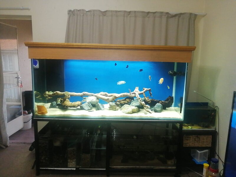 IMG-20220125-WA0049.jpg