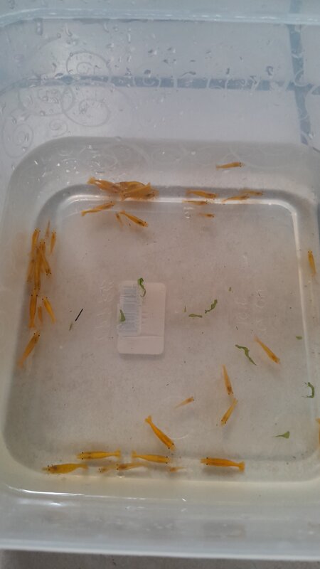 IMG-20250909-WA0060.jpeg