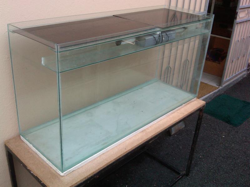IMG00047-20100602-1657.jpg