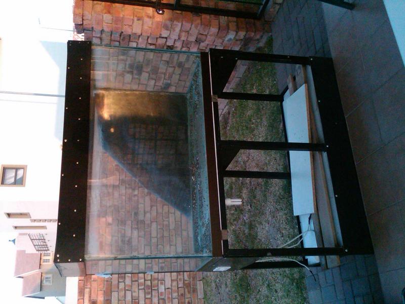 IMG00198-20120710-1720.jpg