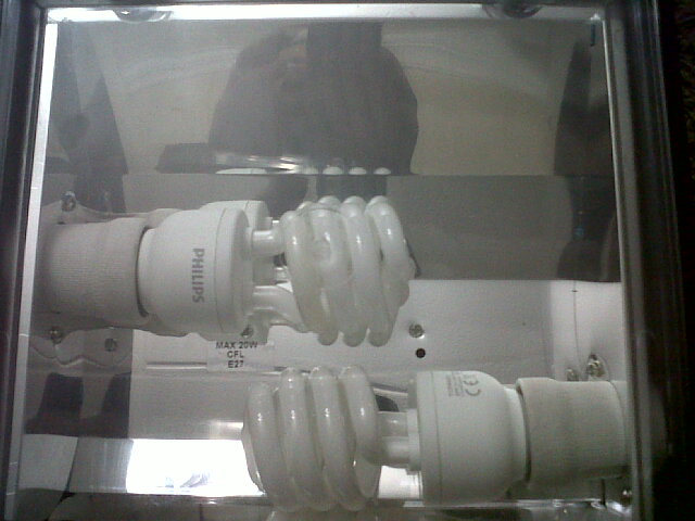 IMG00405-20120307-1907.jpg