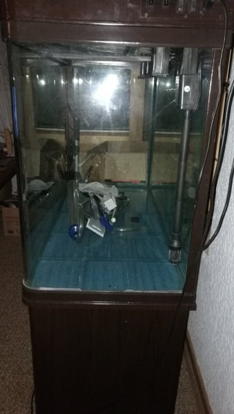 IMG_20161017_200445.jpg