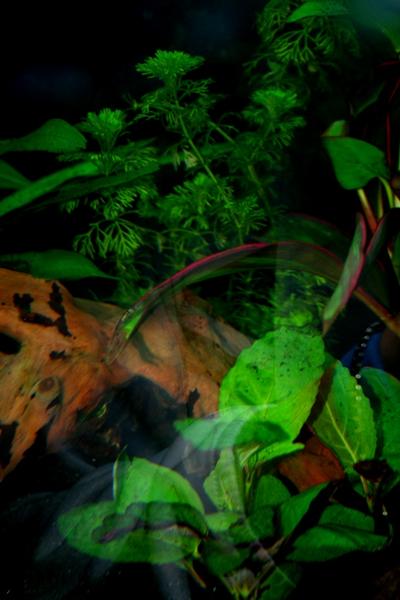 IMG_3621.jpg