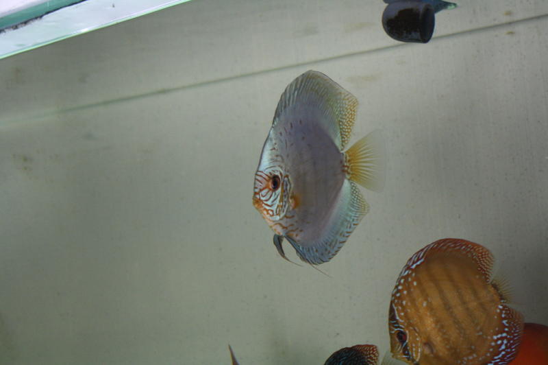 IMG_3912.jpg