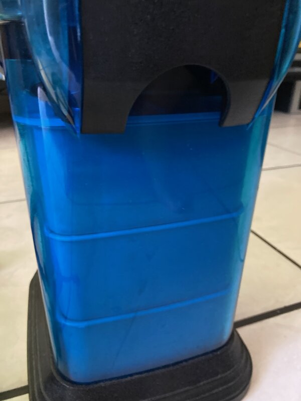 IMG_4819.jpeg