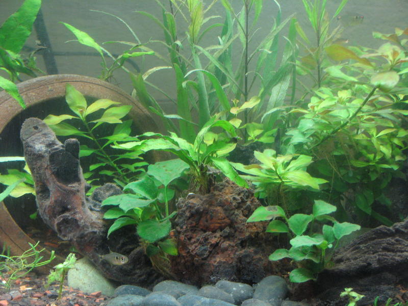 IMG_4952.jpg