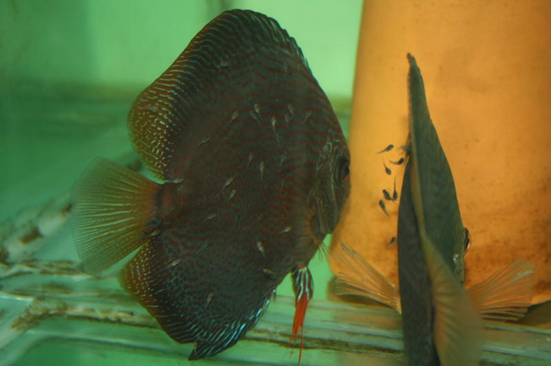 IMG_9469.jpg
