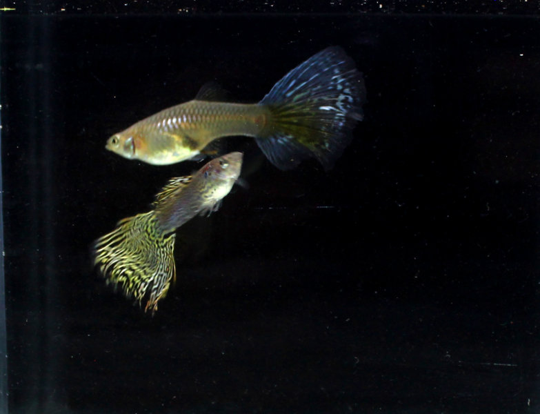 IMG_9968.jpg