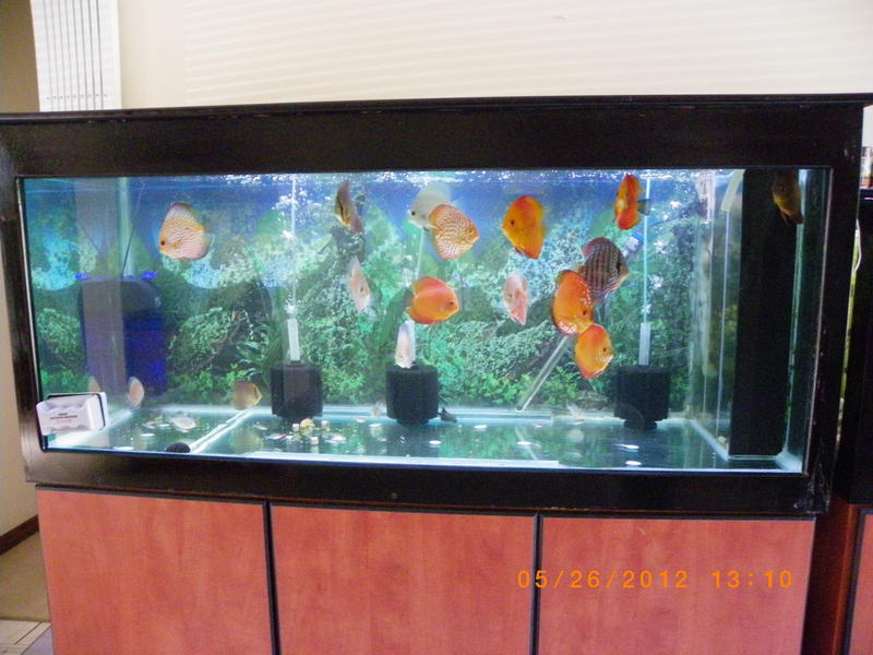 IMGP2127.jpg