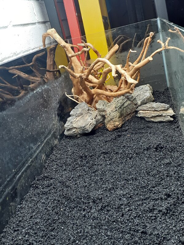 In tank wood.jpg