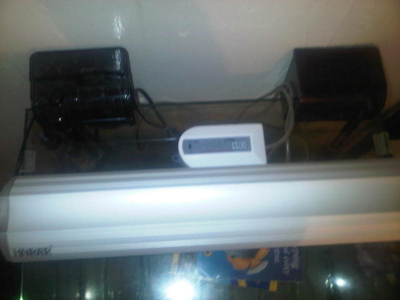 Mitchell's%20Plain-20130930-00105.jpg