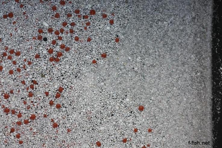 perlite.jpg