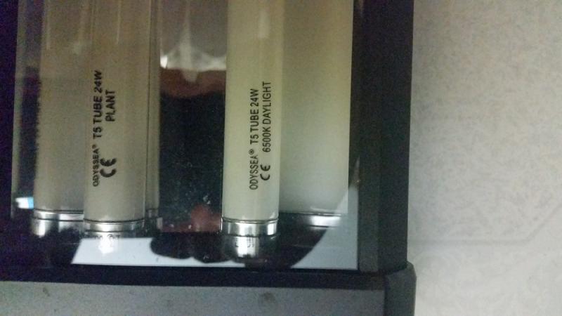 Picture2.jpg