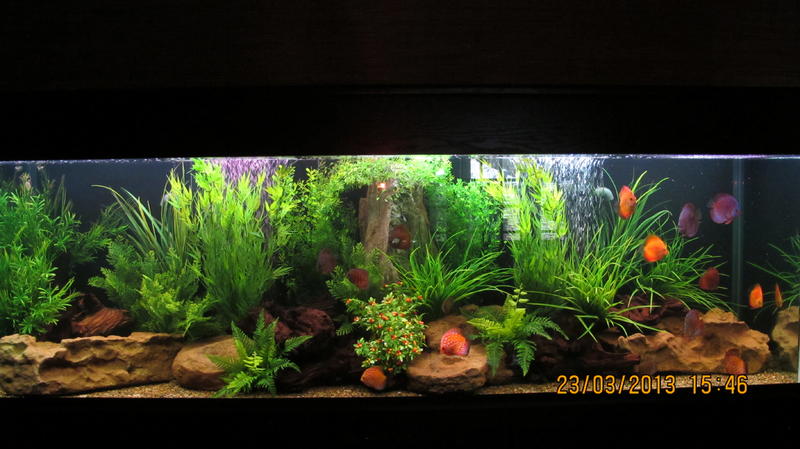 Re landscaped.jpg