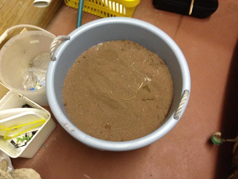 ruby sand1.jpg