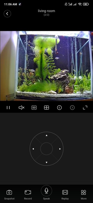 Screenshot_2021-07-31-11-06-52-730_com.macrovideo.v380.jpg