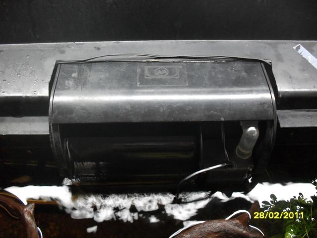 SDC12146.jpg