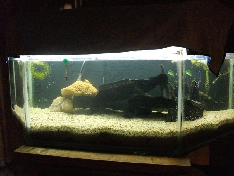 second attempt 20.03.11.jpg