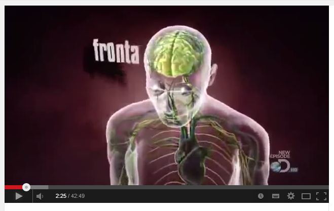 showmeyourbrain.JPG