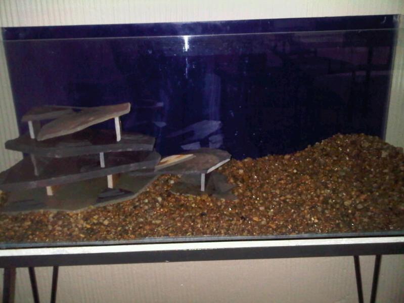 Slate in tank.jpg