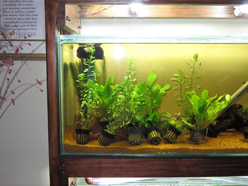 Tank Stand 024.jpg