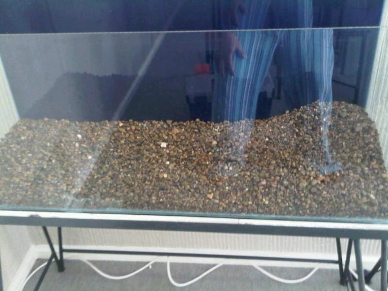 Tank with background.jpg