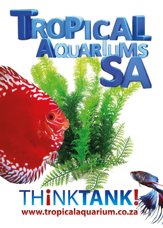TASA_ADVERT-02.jpg