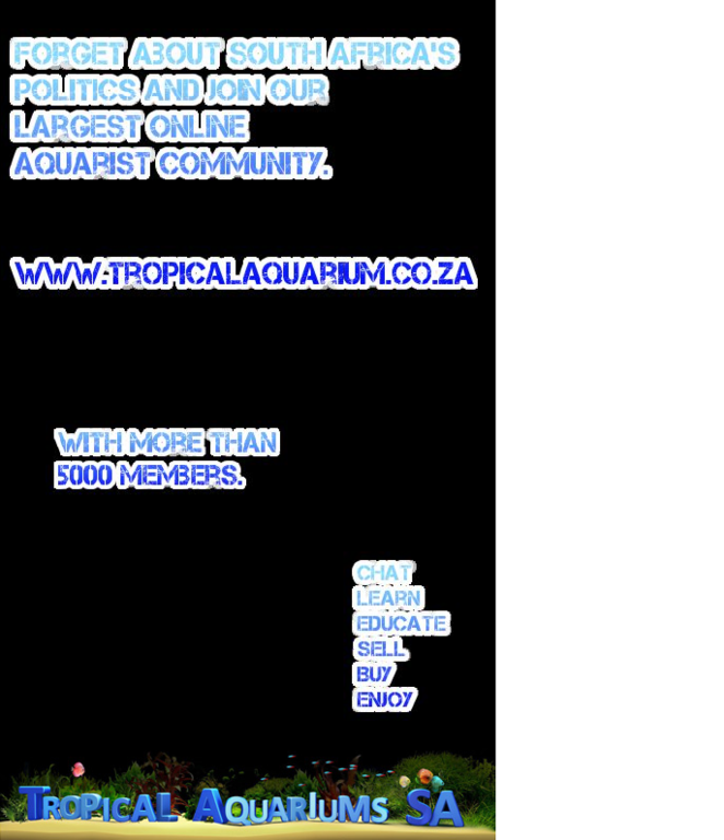 Untitled.png