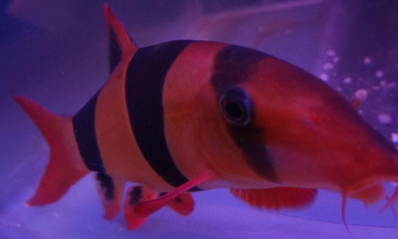 up close.jpg