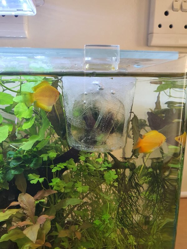 WhatsApp Image 2020-10-20 at 16.04.08.jpeg