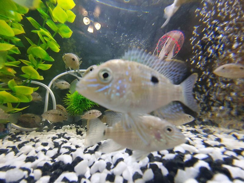 WhatsApp Image 2022-03-11 at 2.10.02 PM.jpeg